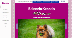 Desktop Screenshot of beinnein.com