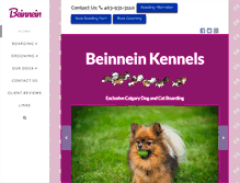 Tablet Screenshot of beinnein.com